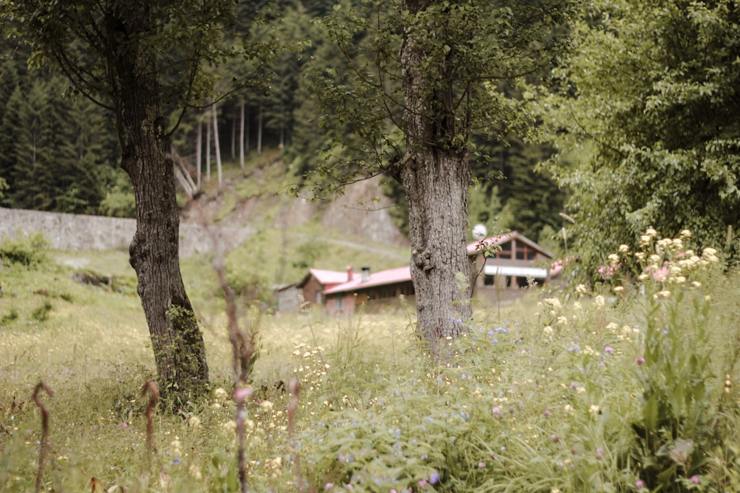 Trabzon Faizsiz Ev: Güvenli Konut Edinim Rehberi ve BDDK Şartları