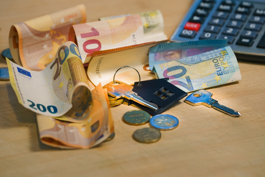 Tasarruf Finansmanında Güven ve İtibar: Yasal Güvenceler ve İşleyiş